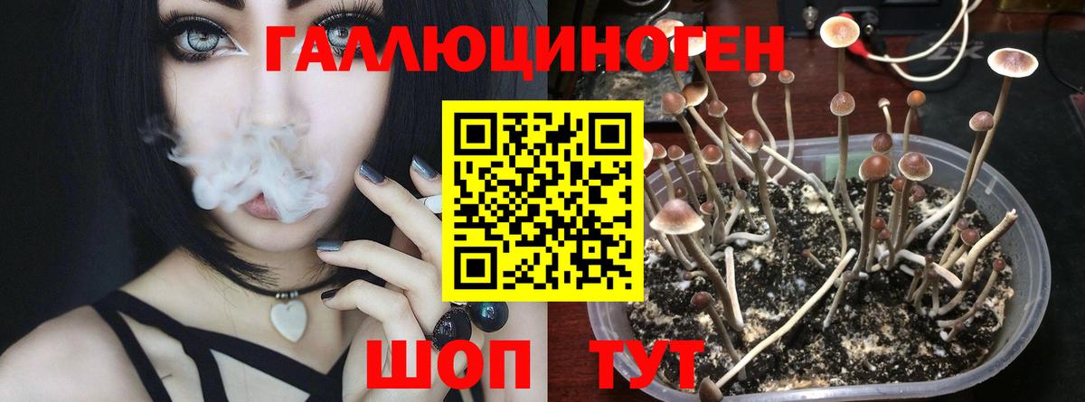 Ивантеевка  Галлюциногенные грибы мицелий  Вход с VPN 