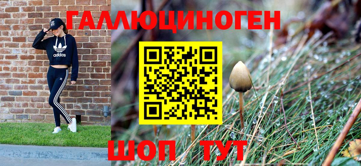 Псилоцибиновые грибы мицелий Ивантеевка